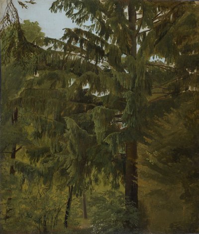 Gran i løvskoven af Christian Friedrich Gille