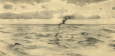 Dampskib på Det Indiske Ocean, 1898. af Christian Wilhelm Allers