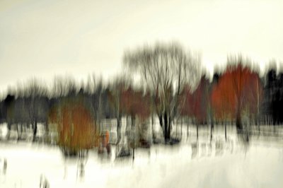 Abstrakt vinterskov af Christina Sillen