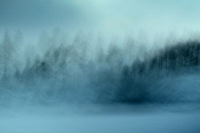 Den tågede blå skov af Christina Sillen