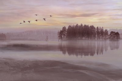 Fugleflugt over Misty Lake af Christina Sillen