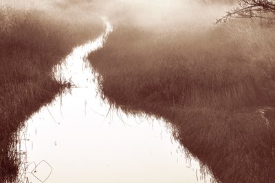 Stien ved Misty River af Christina Sillen