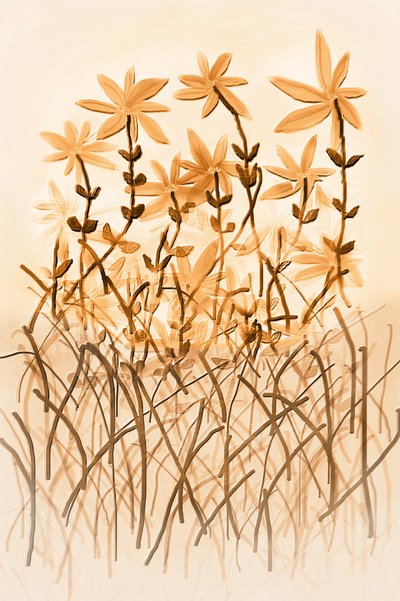 Varm sepia-botanik af Christina Sillen
