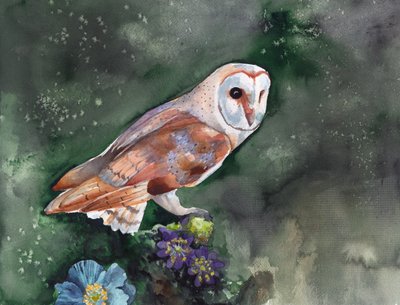 Barnugle – Nattens blomster af Christine Lindstrom
