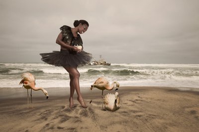 Ballerina og strandflamingoer af Christine von Diepenbroek