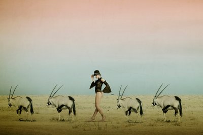 Ørkenvandring med oryxer af Christine von Diepenbroek