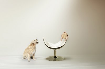 Hundens kyllingedilemma af Christine von Diepenbroek