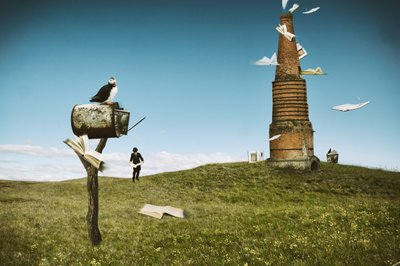 Puffin Flying Books af Christine von Diepenbroek