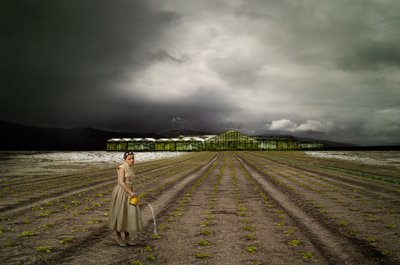 Den ensomme gartner Stormy Field af Christine von Diepenbroek