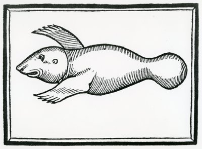 En fisk kaldet 