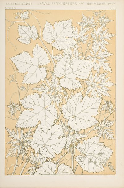 Blade fra naturen, 1868 (chromolitho) af Christopher Dresser