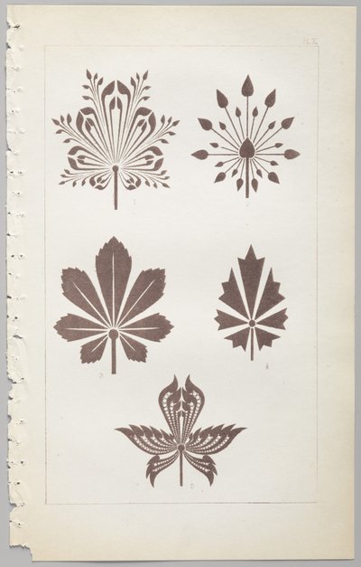 Kunsten at dekorativt design: med et appendiks, der angiver de timer på dagen, hvor blomsterne åbner, udgivet af Day & Son, London, 1862 af Christopher Dresser
