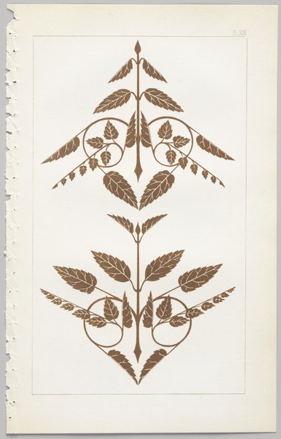 Kunsten at dekorativt design: med et appendiks, der angiver de timer på dagen, hvor blomsterne åbner, udgivet af Day & Son, London, 1862 af Christopher Dresser
