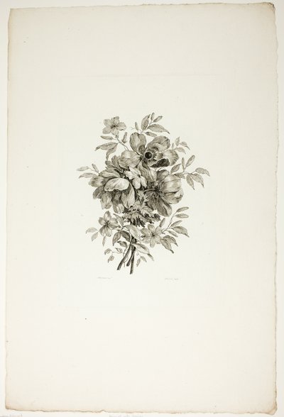 Buket med valmuer, fra samling af forskellige blomsterbuketter, opfundet og tegnet af Jean Pillement og graveret af P. C. Canot af Christopher Norton
