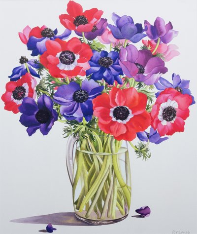 Anemoner i en glaskande, 2007 (wc på papir) af Christopher Ryland