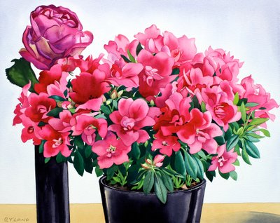 Azalea Rose af Christopher Ryland