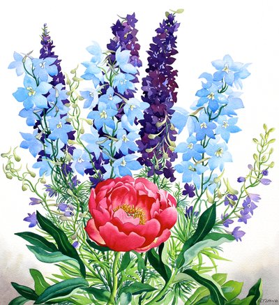 Blå Delphiniums af Christopher Ryland