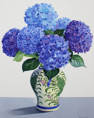 Blå hortensia (akvarel på papir) af Christopher Ryland