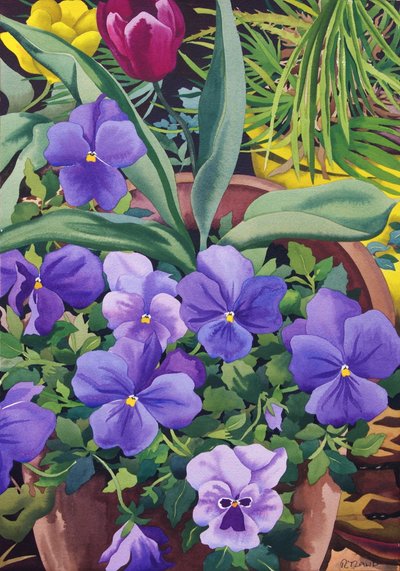 Urtepotter med stedmoderblomster, 2007 (wc på papir) af Christopher Ryland