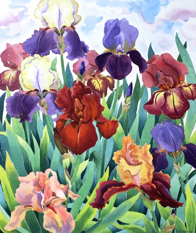 Glemsford iris af Christopher Ryland