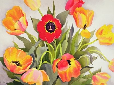 Orange og røde tulipaner (wc) af Christopher Ryland