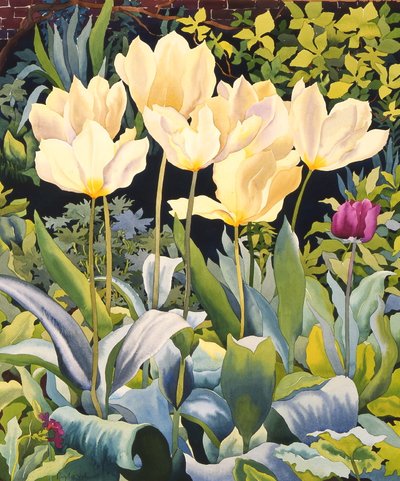 Pale Tulips (akvarel på papir) af Christopher Ryland