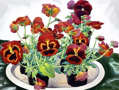 Stedmoderblomster, 2018 (akvarel på papir) af Christopher Ryland