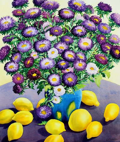 Lilla asters og citroner (akvarel på papir) af Christopher Ryland