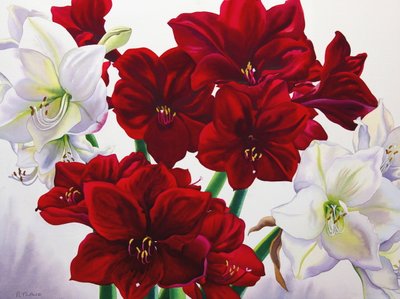 Rød og hvid amaryllis, 2008 (wc på papir) af Christopher Ryland