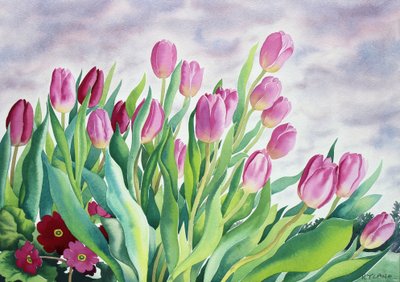 Tulipaner ved vindue (akvarel på papir) af Christopher Ryland