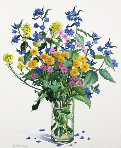 Vilde blomster med Alkanet, 2021 (akvarel på papir) af Christopher Ryland