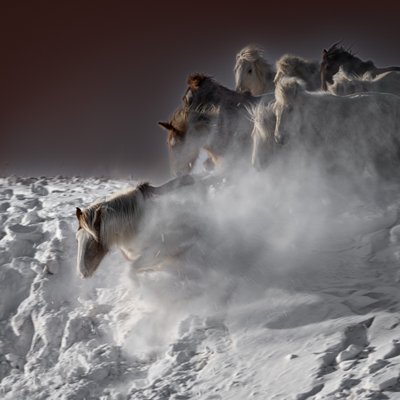 Galoperende sneheste af Chuanxu Ren