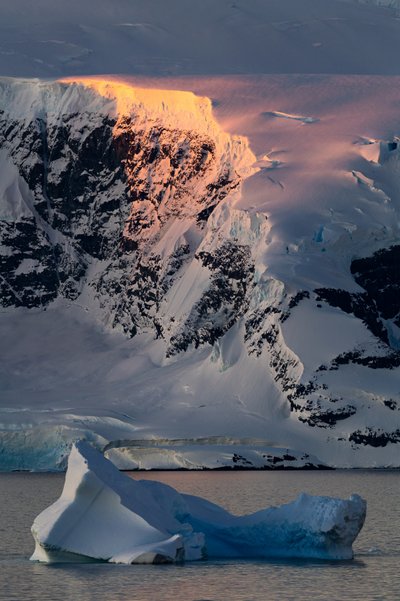 Golden Antarctic Peak af Chuanxu Ren