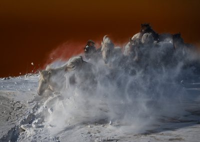 White Horses Blizzard af Chuanxu Ren