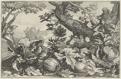 Landskab med græskar og kul Landskaber med gårde (serietitel) af Claes Jansz. Visscher (II)