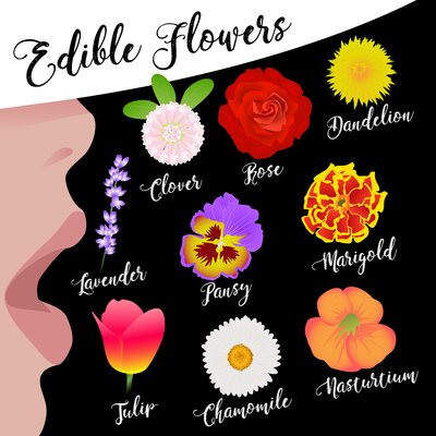 Spiselige Blomster af Claire Huntley