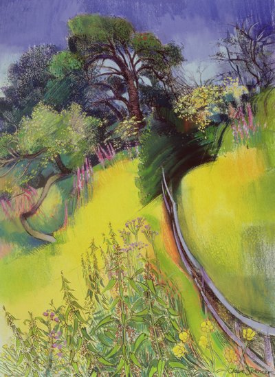 Midsommer af Claire Spencer