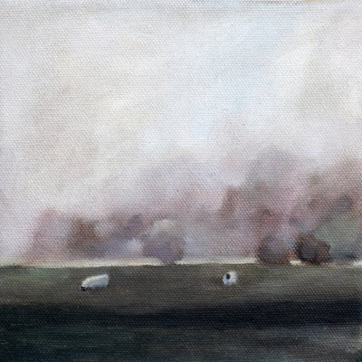 Får på en stille mark af Claire Whitehead