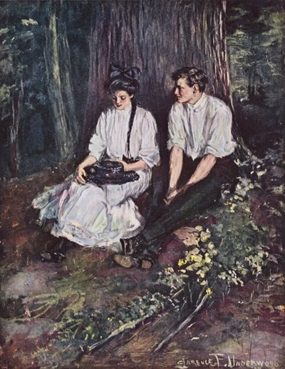 Kærlighedens unge drøm (farve litho) af Clarence F. Underwood
