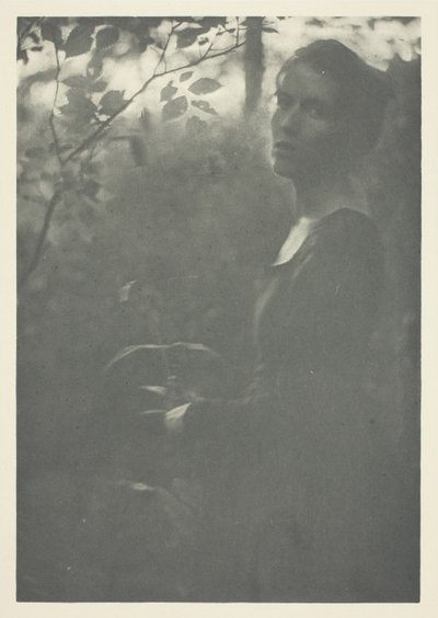 Edge of Woods af Clarence H. White