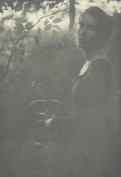 Edge of Woods, ca. 1899. af Clarence H White