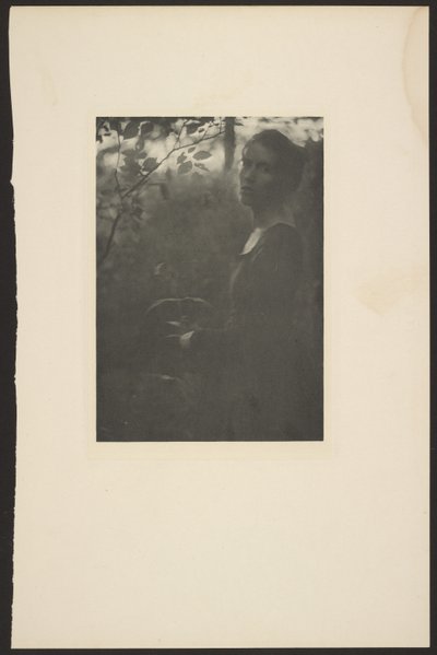 [Edge of the Woods -- Evening] af Clarence H. White