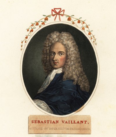 Portræt af Sebastian Vaillant, fransk botaniker af Claude Aubriet