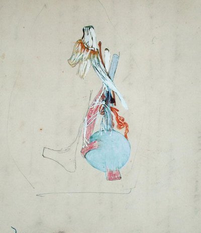 Nervesystemet i hovedet på en kat, 25. maj 1842 (blyant og akvarel på papir) af Claude Bernard
