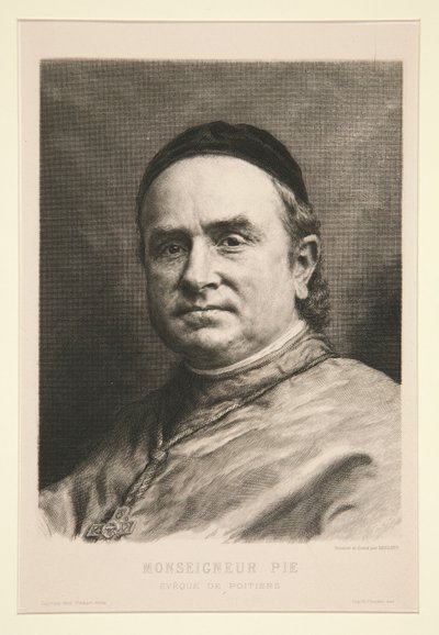 Monsignor Pie af Claude Ferdinand Gaillard