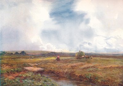 Hømarken, 1872-1906, 1906. af Claude Hayes