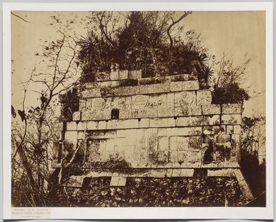 Cirkuspaladset i Chichen-Itza (baseret relief af tigre) af Claude Joseph Désiré Charnay