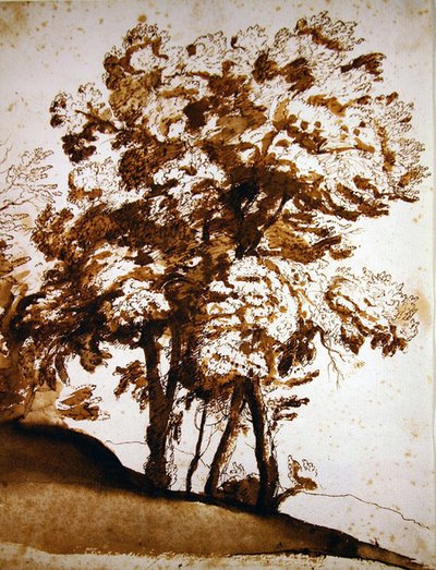 En gruppe træer i sollys (pen & blæk og vask på papir) af Claude Lorrain