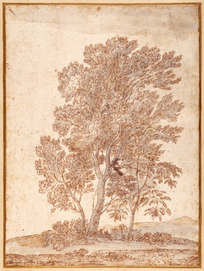 Tre træer (pen og brunt blæk med grå vask på papir) af Claude Lorrain