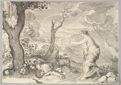 Adonis død. af Claude Mellan
